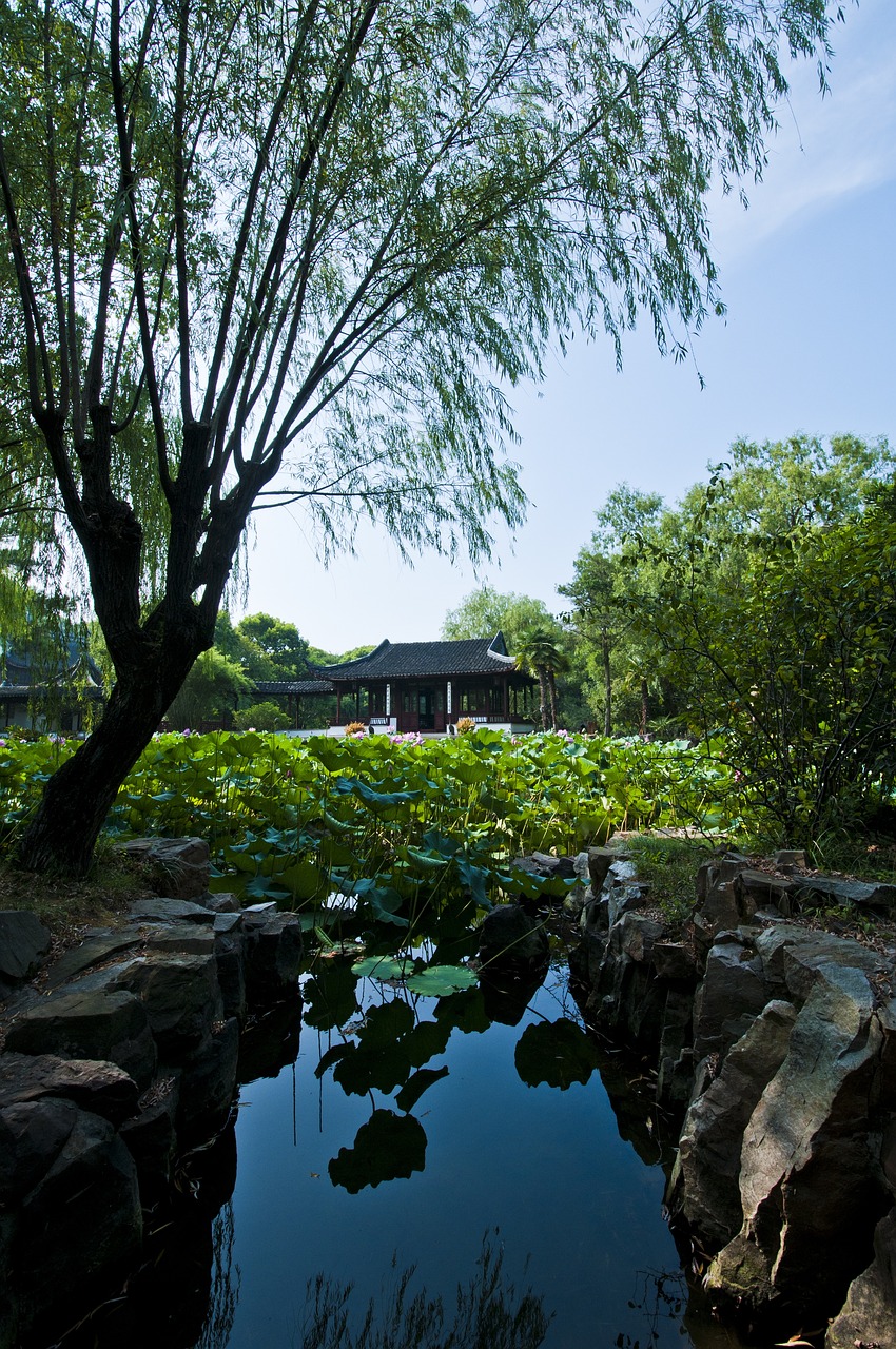 江苏苏州园林科技的独特魅力与发展前景