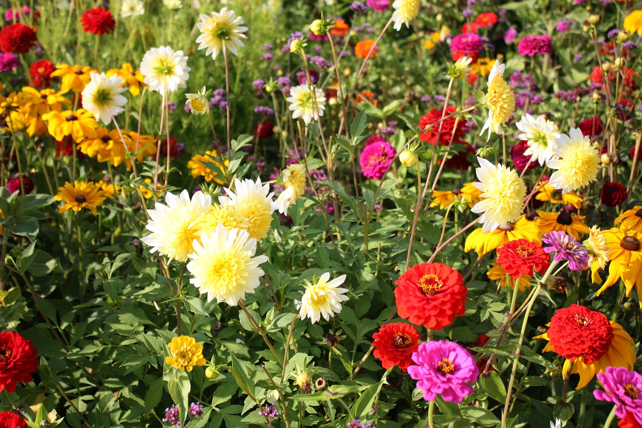 广东省花花世界的魅力与多彩生活